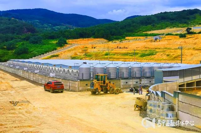 巴楚县富硒农产品（巴东富硒茶）-硒宝网