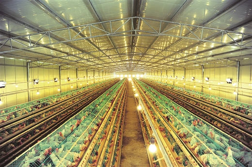 巴楚县富硒农产品（巴东富硒茶）-硒宝网