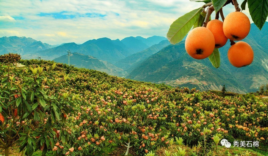 永福县富硒农产品(永福富硒大米)-硒宝网
