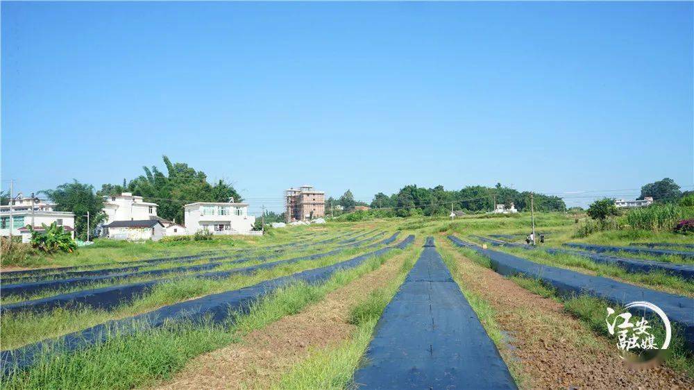 永福县富硒农产品(永福富硒大米)-硒宝网