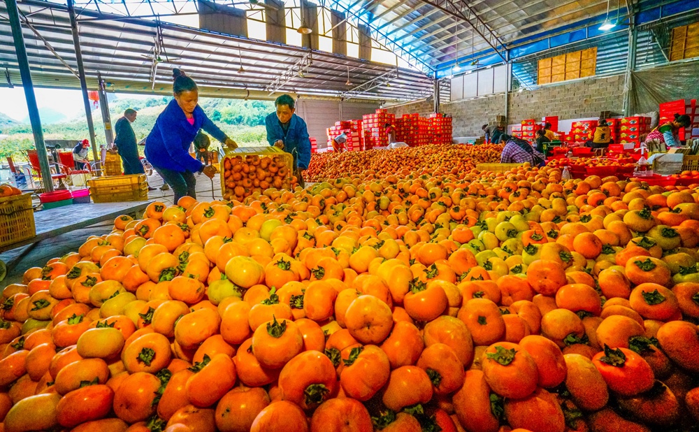永福县富硒农产品(永州富硒农业)-硒宝网