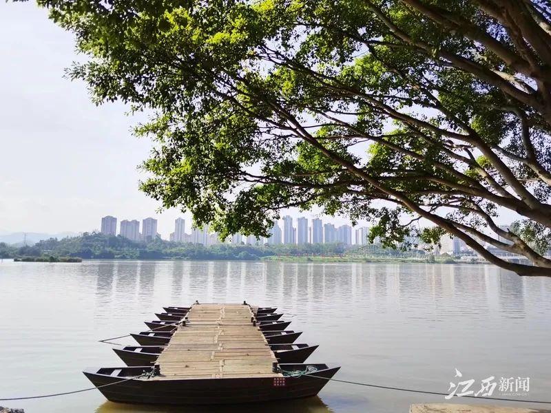 于都县富硒农产品(于都富硒产业发展中心)-硒宝网