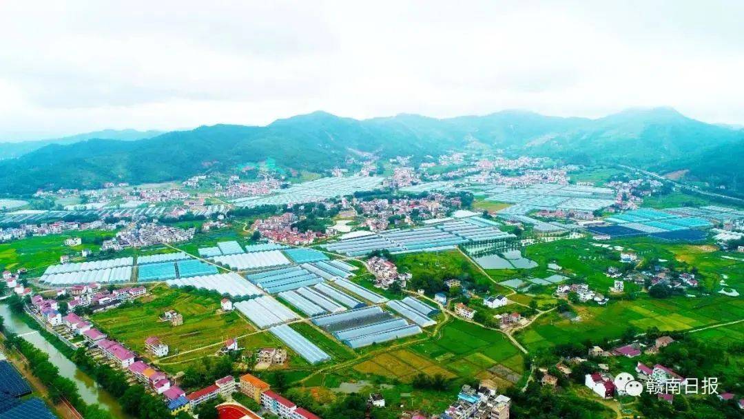 富硒水产品怎么样（富硒海产品）-硒宝网