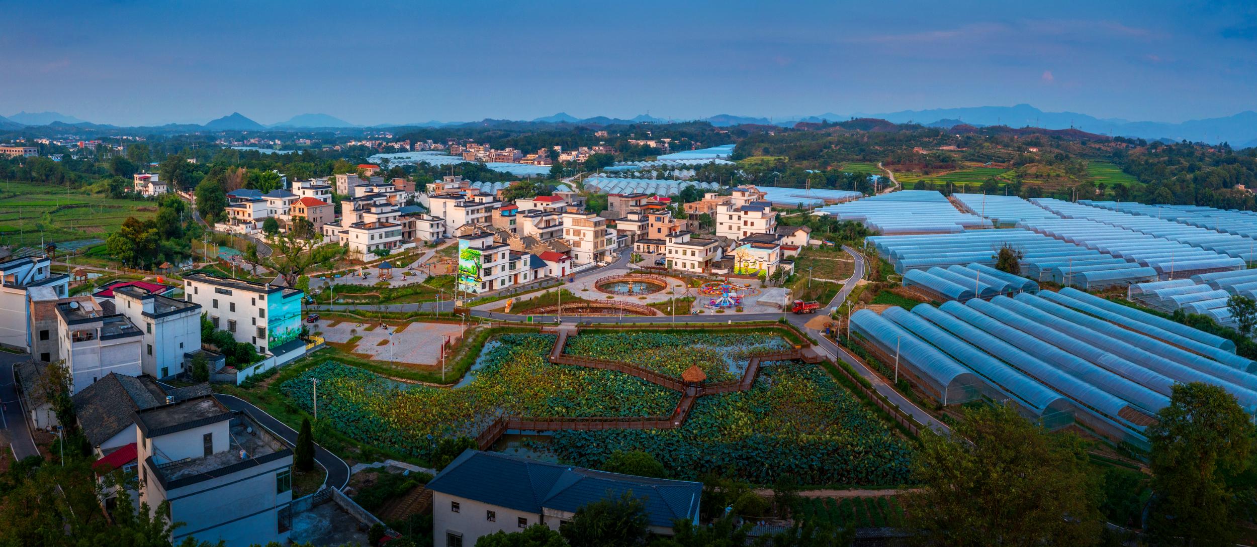 于都县富硒农产品(于都富硒农业)-硒宝网