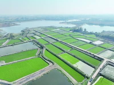 富硒农产品合作社(富硒农产品与普通农产品差别)-硒宝网