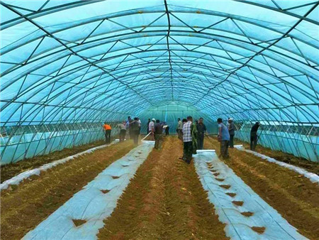 富硒农产品合作社(富硒农产品与普通农产品差别)-硒宝网