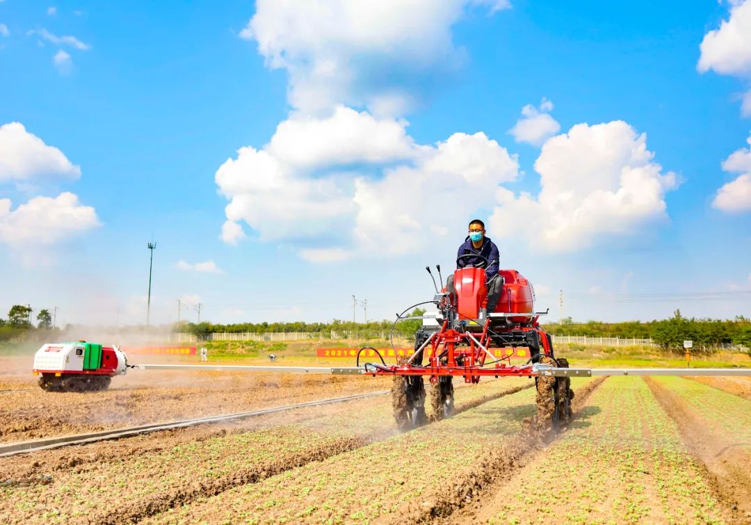 富硒农产品合作社(富硒农产品与普通农产品差别)-硒宝网