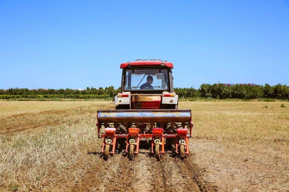 富硒农产品合作社(富硒农产品与普通农产品差别)-硒宝网