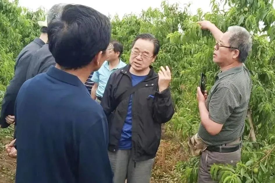 富硒农产品可行性（功能性农业富硒类产品）-硒宝网