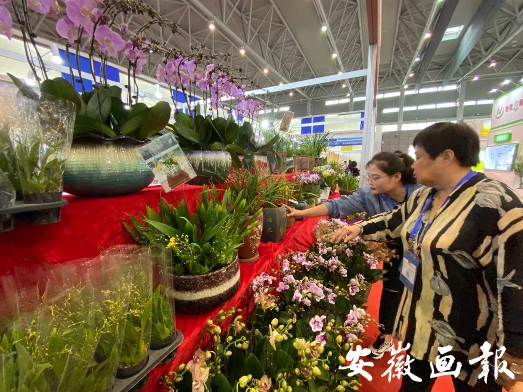 池州富硒农副产品（池州富硒水厂）-硒宝网