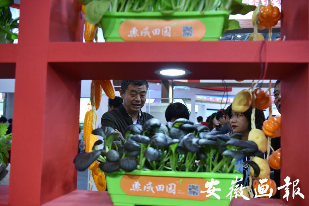 池州富硒农副产品（池州富硒水厂）-硒宝网