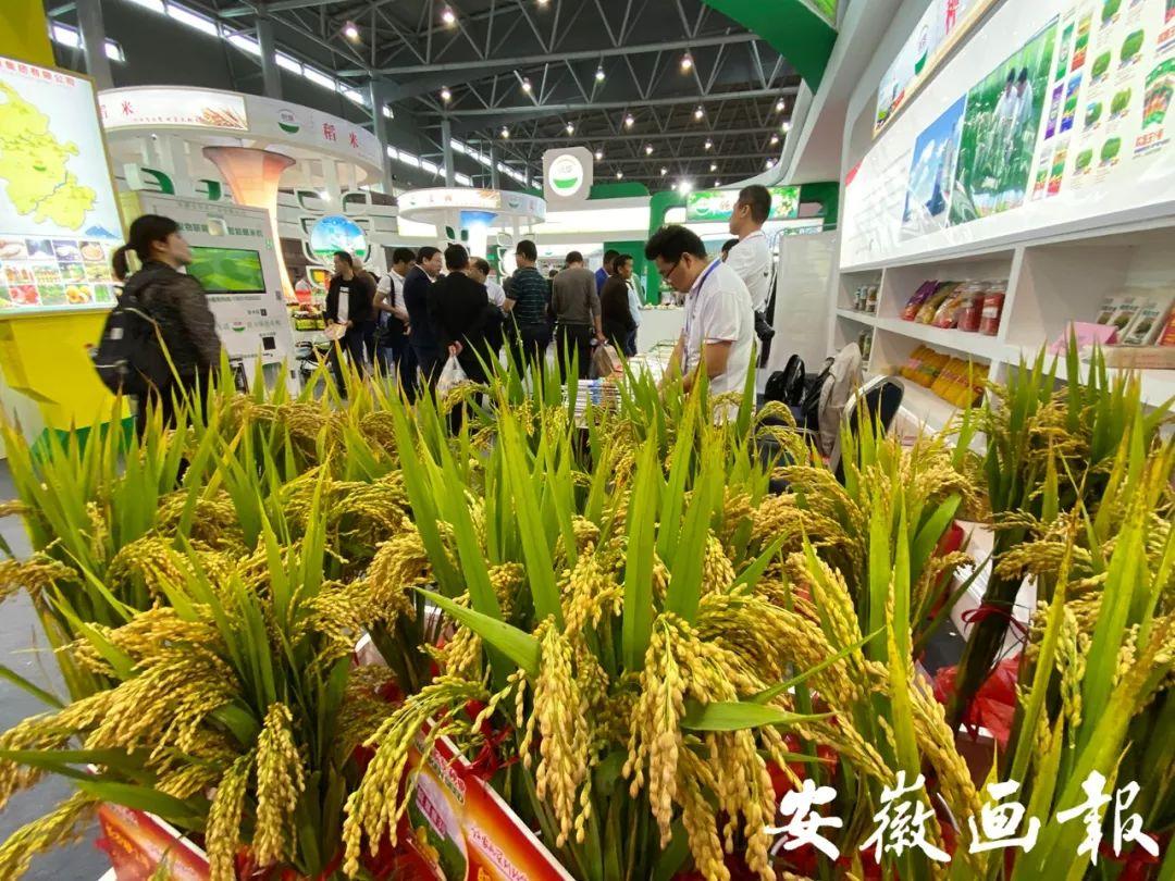 池州富硒农副产品（池州富硒水厂）-硒宝网