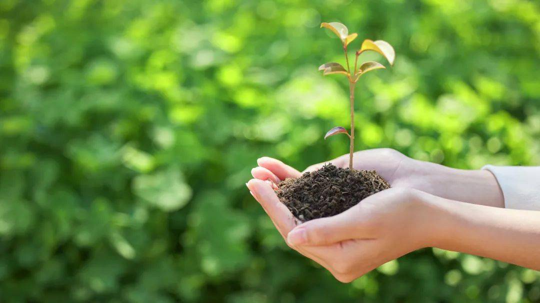 富硒农产品难销吗（富硒农产品产业链）-硒宝网