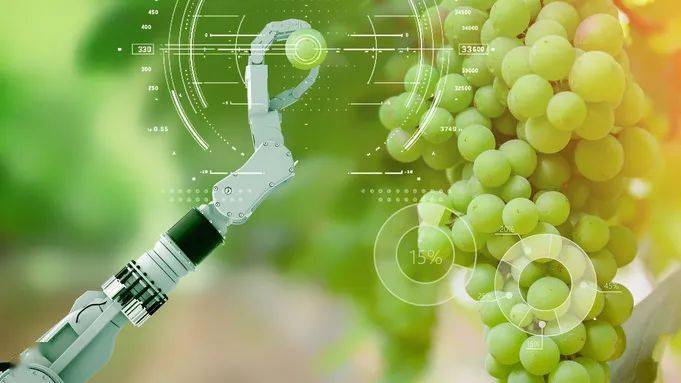 富硒农产品难销吗（富硒农产品产业链）-硒宝网