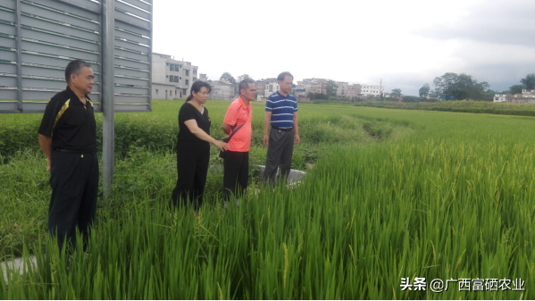 富硒水产品怎么样（富硒水价格表）-硒宝网