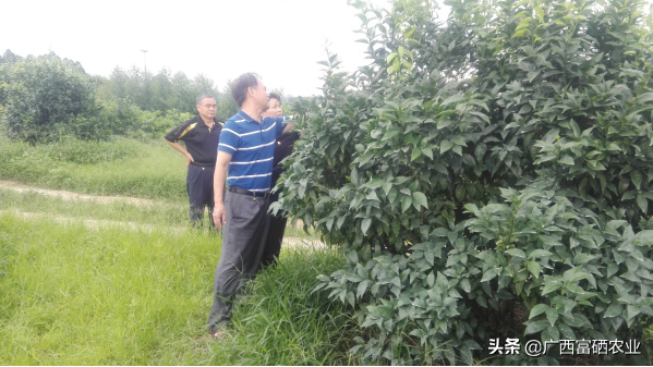 富硒水产品怎么样（富硒水价格表）-硒宝网