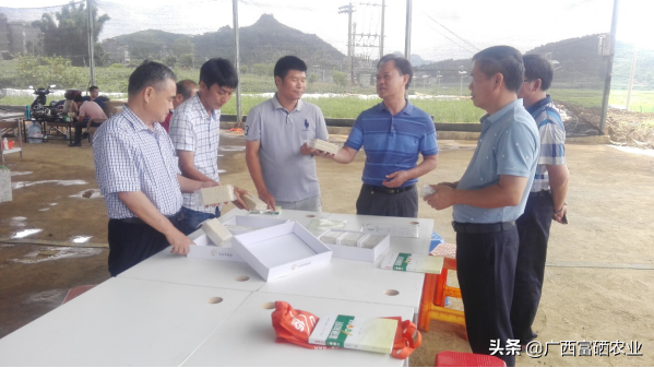 富硒水产品怎么样（富硒水价格表）-硒宝网