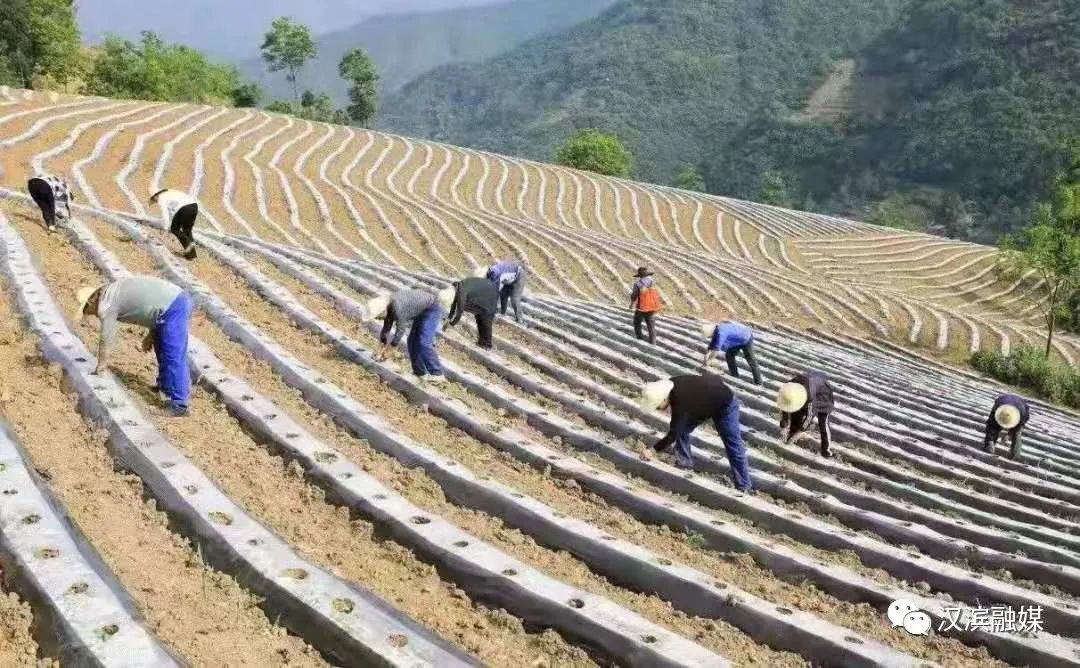 富硒农产品难销吗（富硒农产品销售平台）-硒宝网