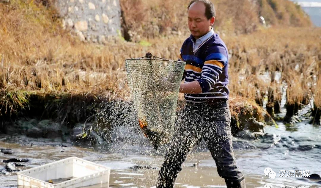 富硒农产品难销吗（富硒农产品销售平台）-硒宝网