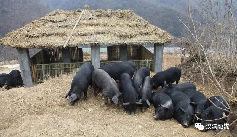 富硒农产品难销吗（富硒农产品销售平台）-硒宝网