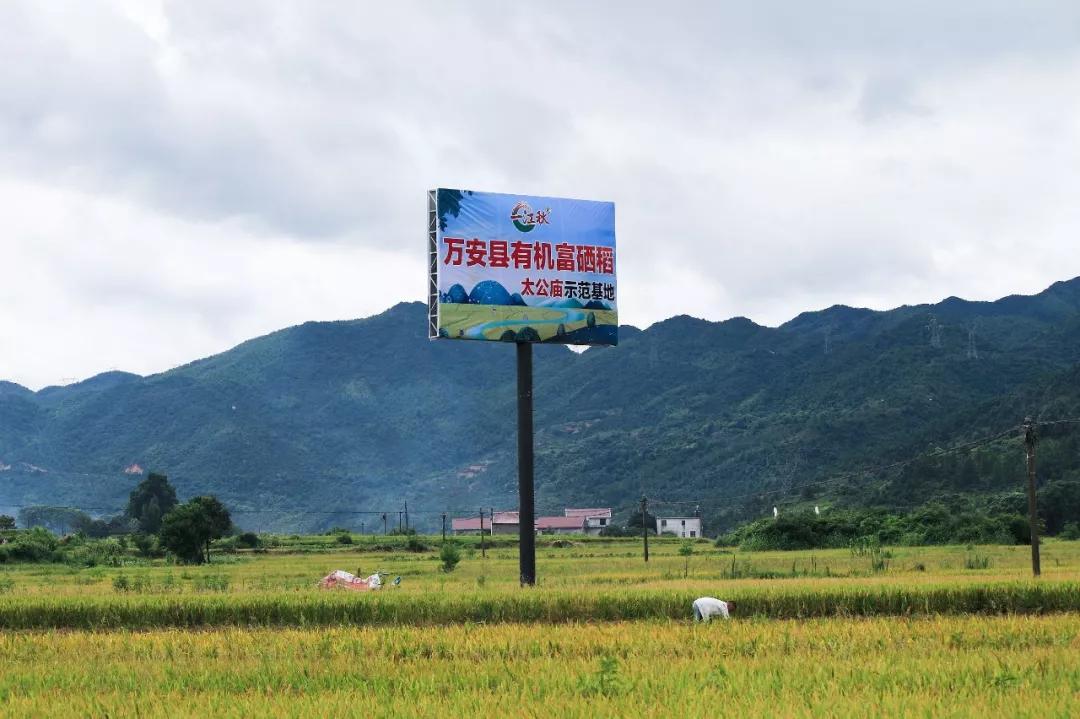 万安县富硒农产品(万安县富硒米业公司)-硒宝网