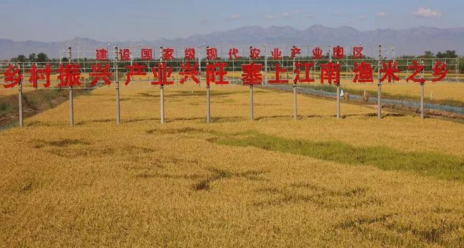 石台县富硒农产品（石台富硒村旅游攻略）-硒宝网