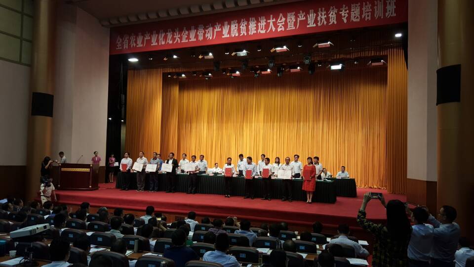 石台县富硒农产品（石台富硒村旅游攻略）-硒宝网