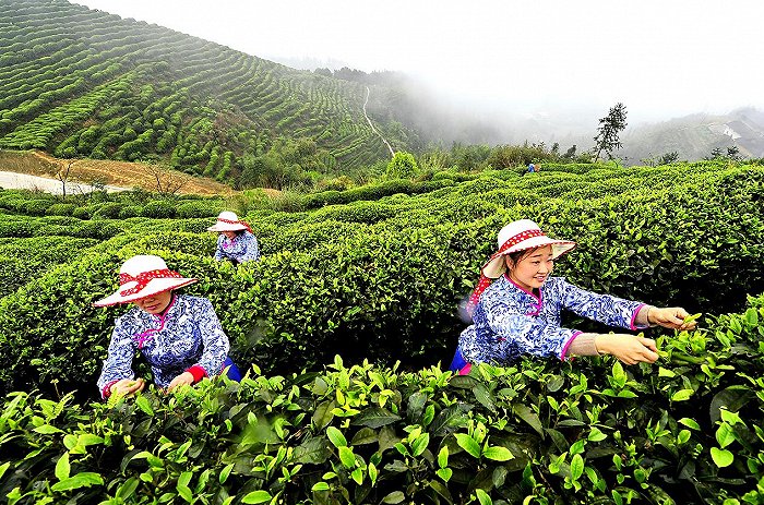 富硒农产品文化节（富硒农产品广告）-硒宝网