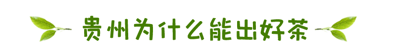 雷公山富硒清明茶（雷公山富硒清明茶多少钱一斤）-硒宝网