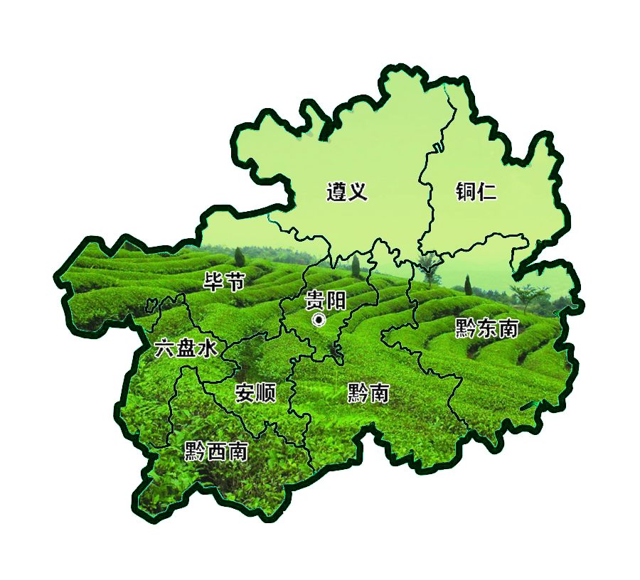 雷公山富硒清明茶（雷公山富硒清明茶多少钱一斤）-硒宝网