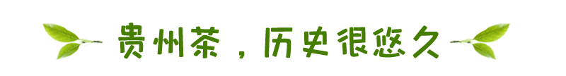雷公山富硒清明茶（雷公山富硒清明茶多少钱一斤）-硒宝网