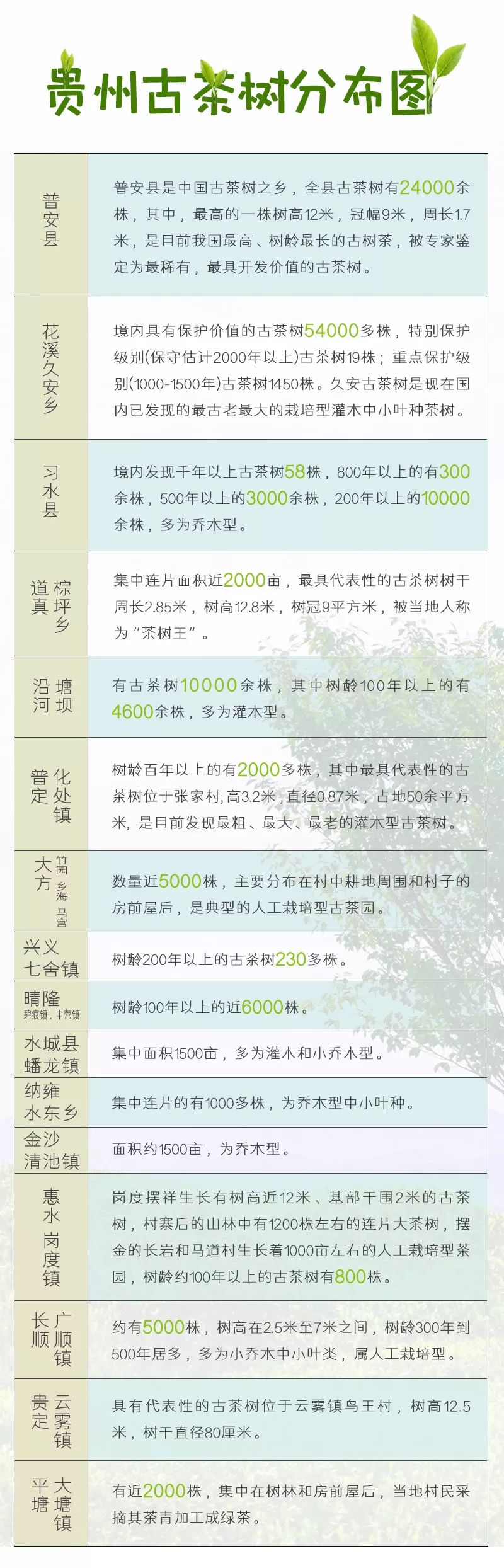 雷公山富硒清明茶（雷公山富硒清明茶多少钱一斤）-硒宝网