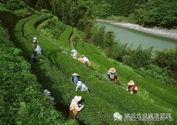 恩施州富硒农产品（恩施富硒产品是传销吗）-硒宝网