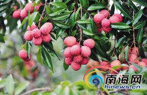 富硒农产品价格表(富硒农产品销售平台)-硒宝网