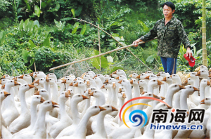 富硒农产品价格表(富硒农产品销售平台)-硒宝网