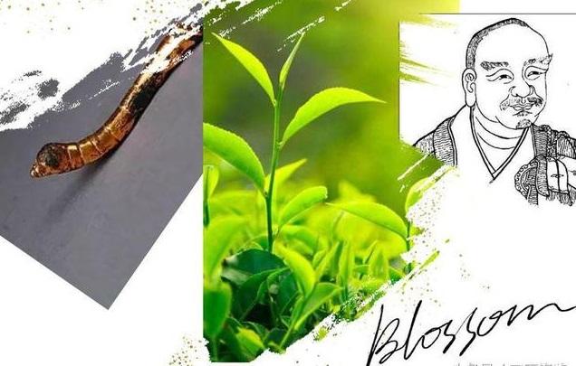 泉州富硒茶好喝吗（安溪富硒茶）-硒宝网