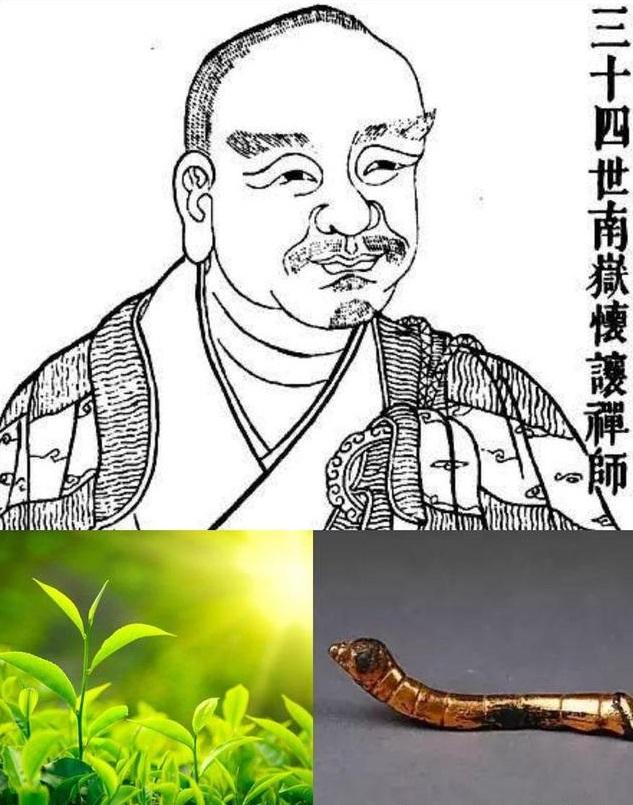 泉州富硒茶好喝吗（安溪富硒茶）-硒宝网