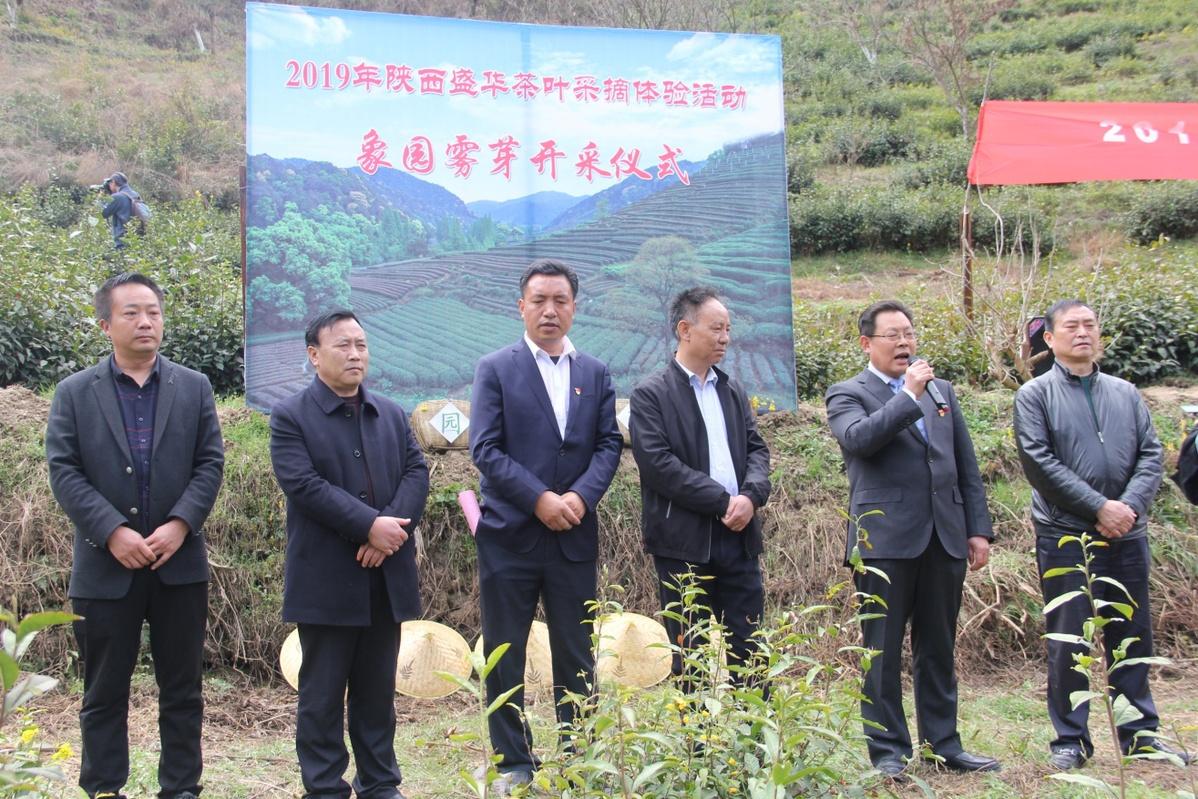 泉州富硒茶好喝吗(泉州喝茶加v)-硒宝网