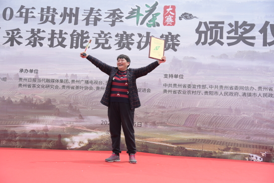 开阳富硒金奖茶王(开阳富硒茶价格)-硒宝网