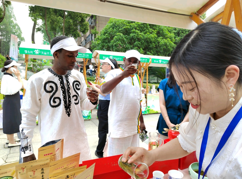 武汉醇厚的富硒茶（湖北富硒茶是绿茶吗）-硒宝网