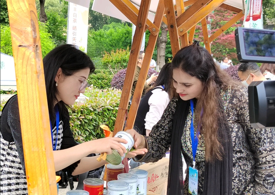 武汉醇厚的富硒茶（湖北富硒茶是绿茶吗）-硒宝网