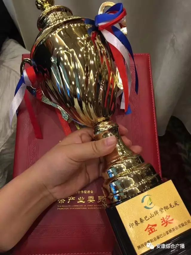 紫阳富硒茶黄建成（紫阳富硒茶山）-硒宝网