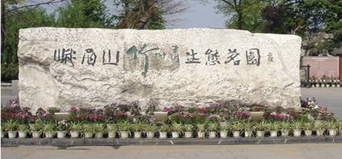 富硒雀舌是什么茶(万源富硒雀舌茶价格)-硒宝网