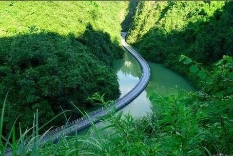 富硒茶哪个地方产(中国富硒茶之乡)-硒宝网