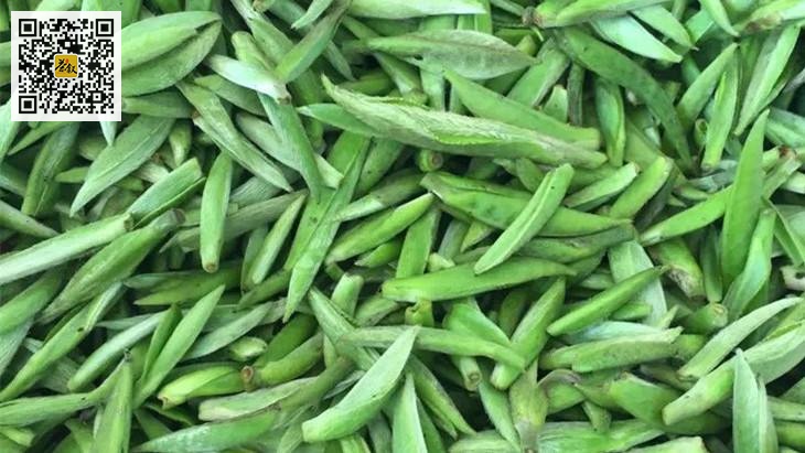 富硒雀舌是什么茶(富硒雀舌礼盒多少钱)-硒宝网