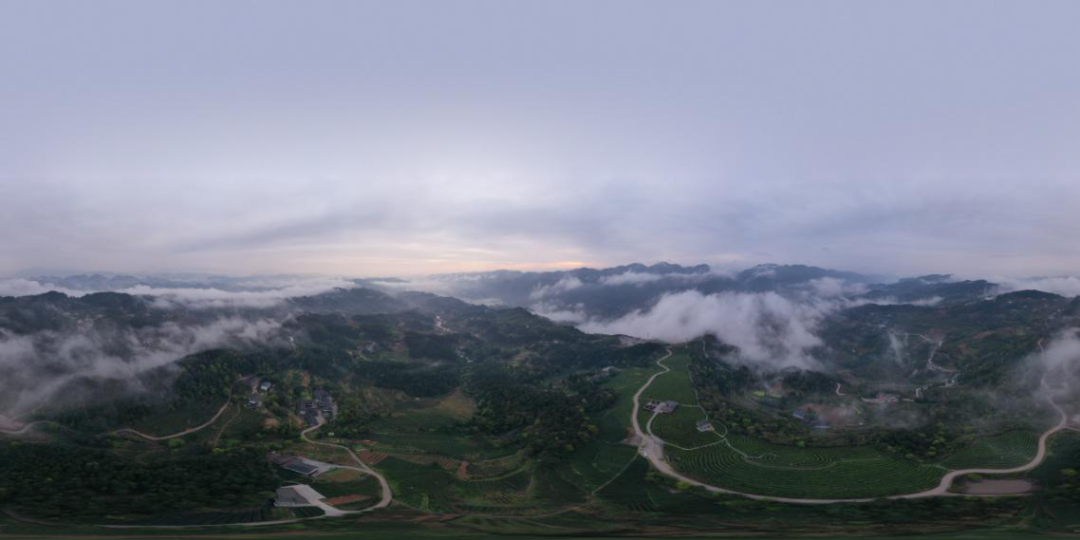 亲稀源恩施富硒茶（恩施硒茶多少钱一盒）-硒宝网