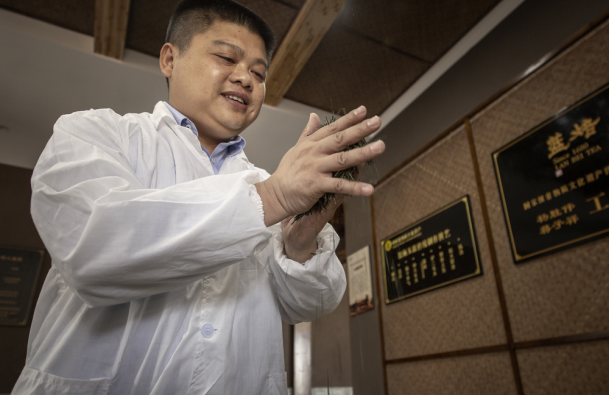 亲稀源恩施富硒茶（恩施硒茶多少钱一盒）-硒宝网