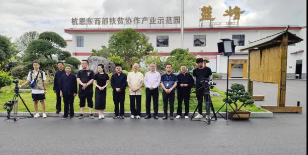 亲稀源恩施富硒茶（恩施硒茶多少钱一盒）-硒宝网