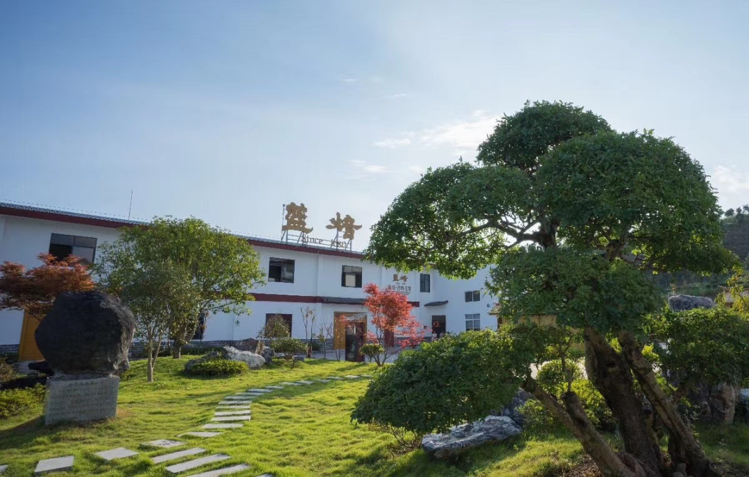 亲稀源恩施富硒茶（恩施硒茶多少钱一盒）-硒宝网