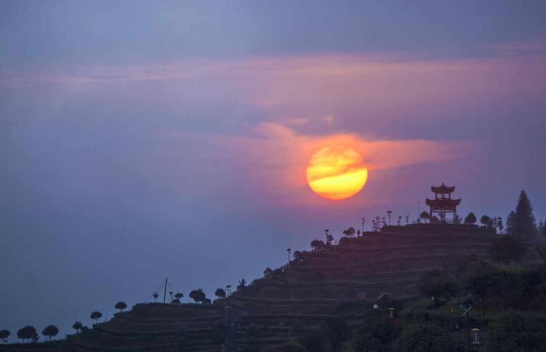 亲稀源恩施富硒茶（恩施硒茶多少钱一盒）-硒宝网